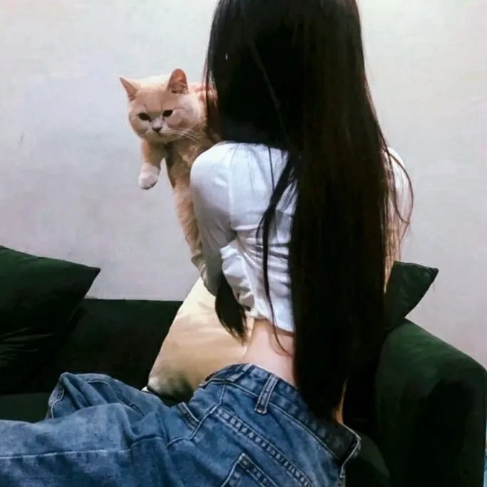 乌龙英雄